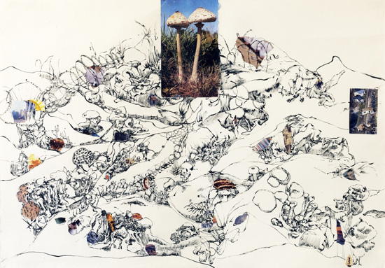 Twin Fungi 52.5x75cm Ink and collage on paper 2013.jpg